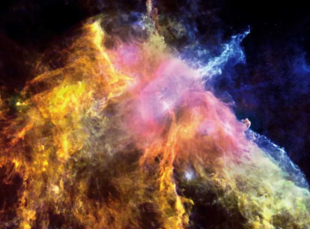 Young Stars in Orion B Molecular Cloud Heat Up the Surrounding Dust